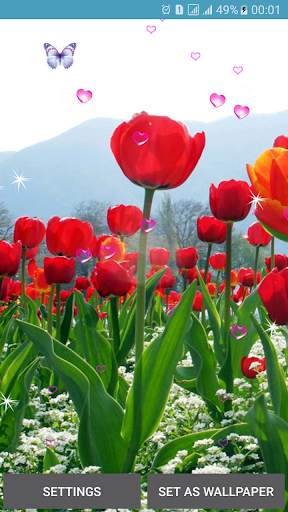 Tulip Live Wallpapers screenshot 1