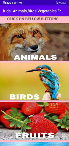 Kids - Animal,Birds,Fruits,Vegetables Names screenshot 1