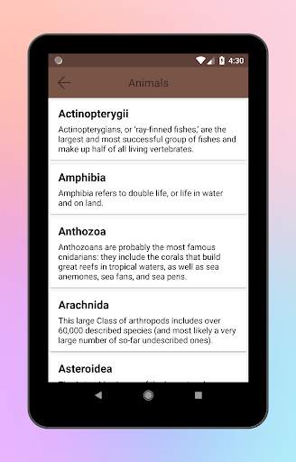 Animal World A-Z Collections screenshot 12