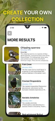Bird Sound Identifier Bird ID screenshot 5