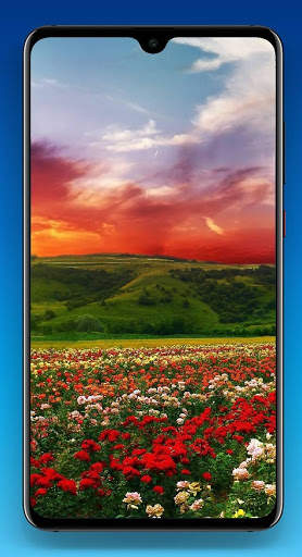 Nature Wallpaper HD screenshot 5