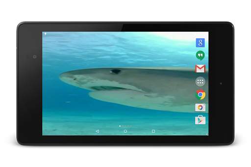Sharks Video Live Wallpaper screenshot 3