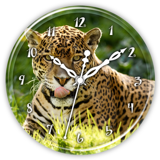 Jaguar Clock Live Wallpaper icon