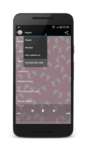 Musik Klasik Ibu Hamil screenshot 3