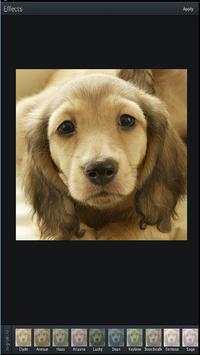 Photo Editor Free App screenshot 1