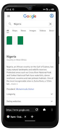 LTE Browser screenshot 4