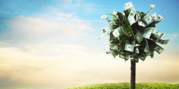 Earn Money Plant स्क्रीनशॉट 1