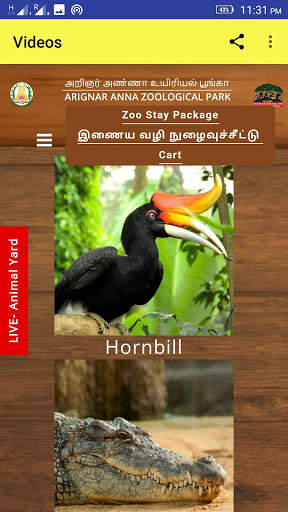 ZOO ANIMALS LIVE VIDEOS screenshot 4