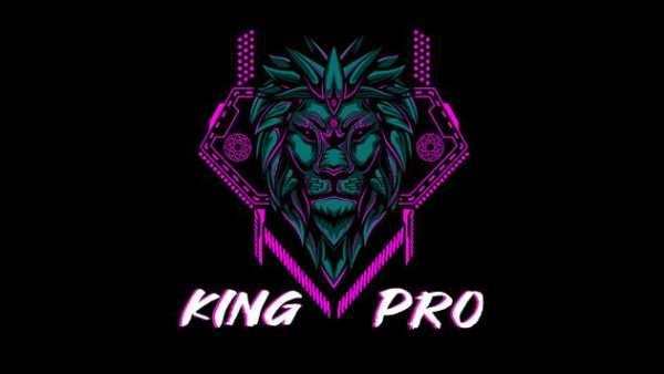 King Pro скриншот 1
