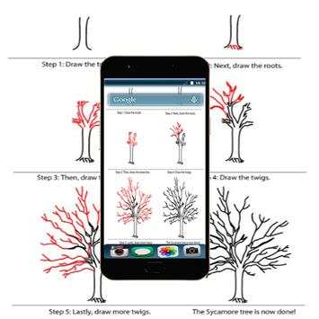 How To Draw Tree Step By Step screenshot 1