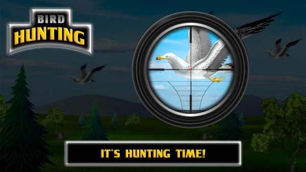 Bird Hunting screenshot 5