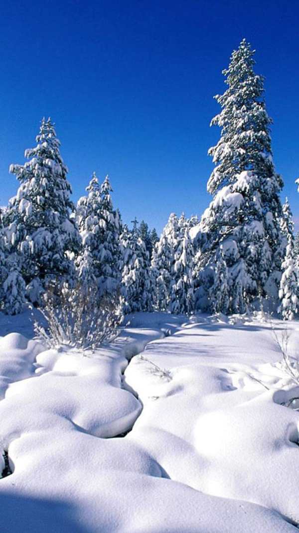Snow on the Go Live Wallpaper screenshot 4