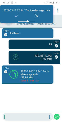 PrivateWave Professional screenshot 6