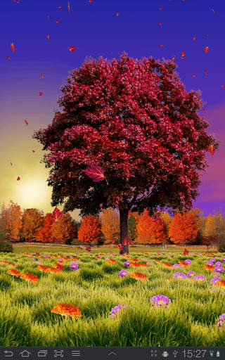 Autumn Trees Free screenshot 2