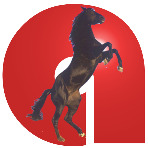 Kabardian Language icon