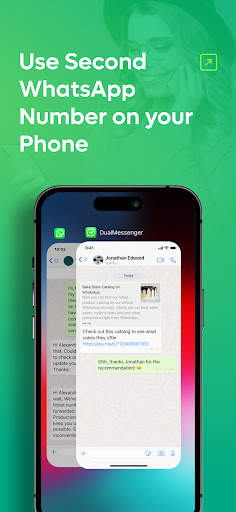 Dual Messenger Web screenshot 1