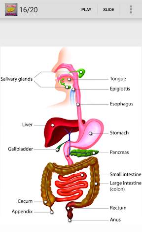 Biology knowledge screenshot 4