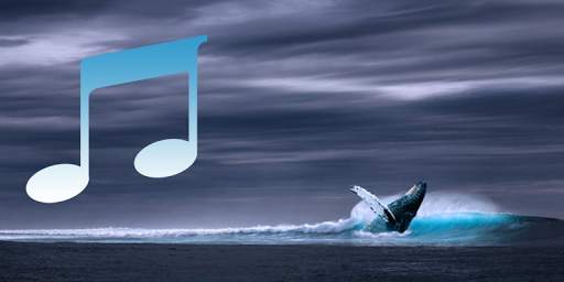 Whale song to sleep screenshot 2