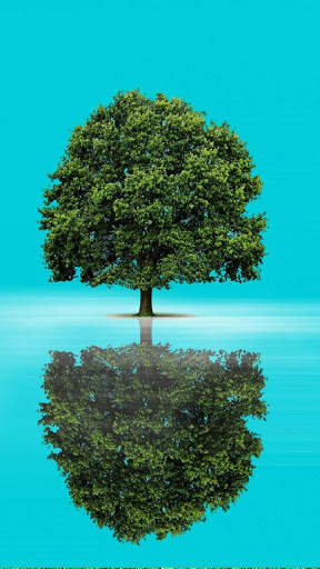 Tree Wallpaper screenshot 3