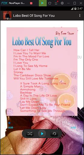 Lobo Best Of Song For You screenshot 4