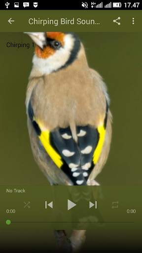 Birdsong Goldfinch New screenshot 3