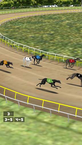 Simple Greyhound Racing screenshot 4