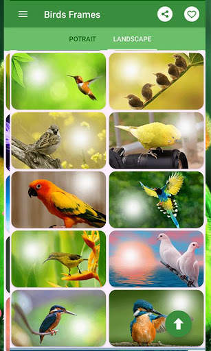 Birds Photo Frames स्क्रीनशॉट 5