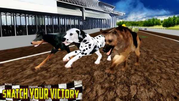 Ultimate Dog Race: greyhound Derby Race screenshot 5
