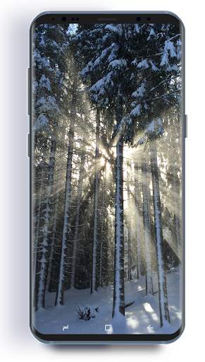 Wallpapers Garage : Free HD Wallpapers screenshot 6
