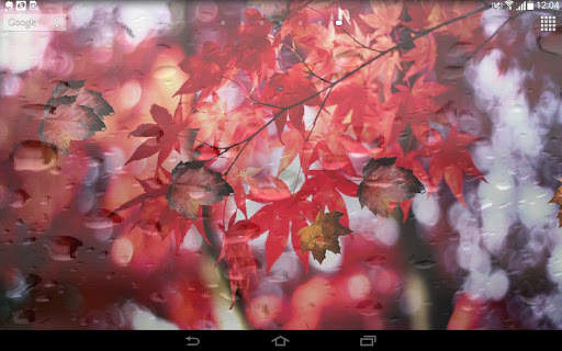 Spring Leaf wallpapers screenshot 4