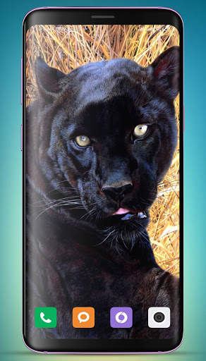 Black Panther Wallpaper HD screenshot 10