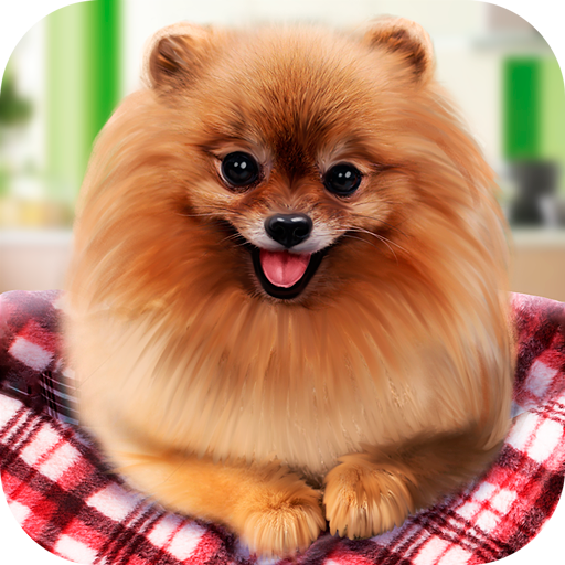 Pure Breed Miniature Dog Life Sim icon