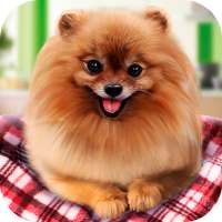 Pure Breed Miniature Dog Life Sim