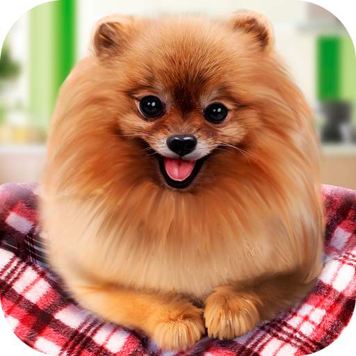 Pure Breed Miniature Dog Life Sim 2.0.0