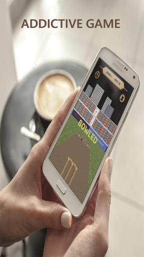 Bowled 3D - Cricket Game screenshot 8