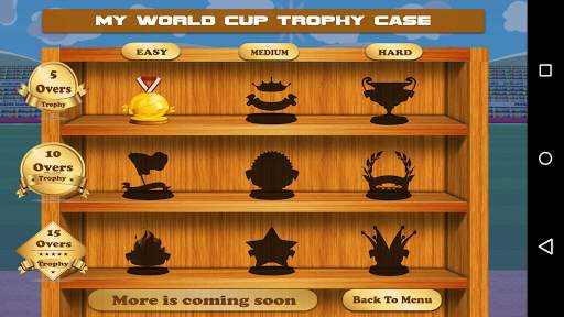 Play Cricket for Fun screenshot 4
