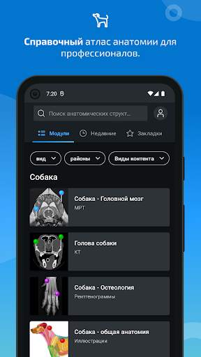 vet-Anatomy скриншот 1