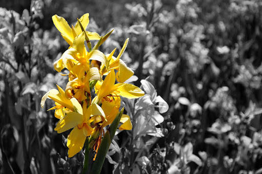 PhotoX screenshot 16