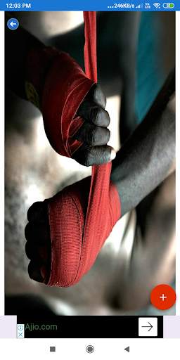 Boxing HD Wallpapers screenshot 4