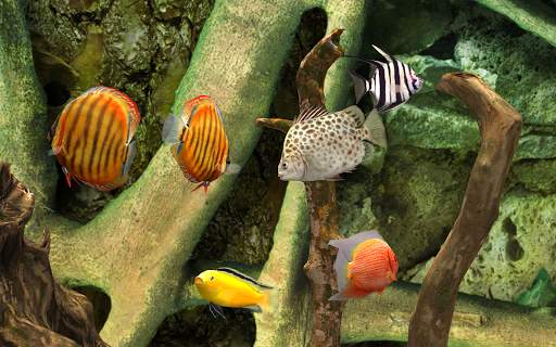 MyLake 3D Aquarium screenshot 1