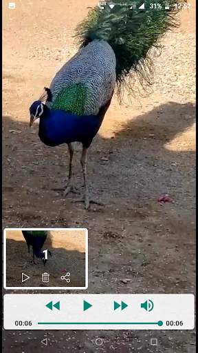 Fast Video Splitter for Whatsapp status screenshot 10