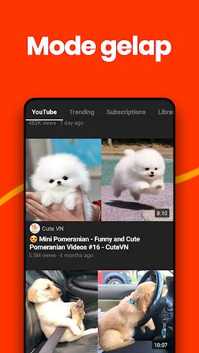 Video Player, Tube Floating - BaroPlayer screenshot 5