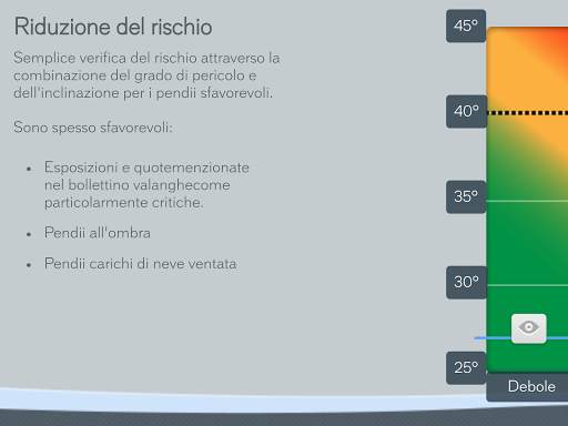 White Risk - App Valanghe SLF screenshot 22