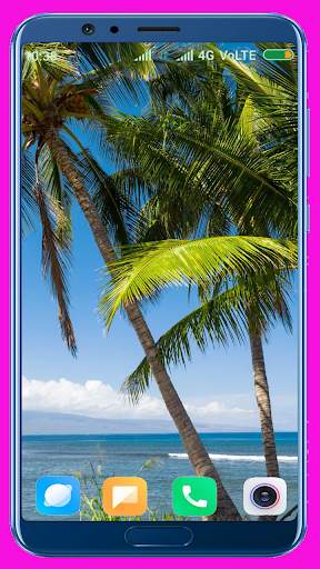 Palm Tree Wallpaper screenshot 11
