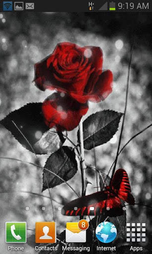 Red Black Butterfly LWP screenshot 3