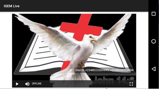 IGEM Mobile screenshot 2