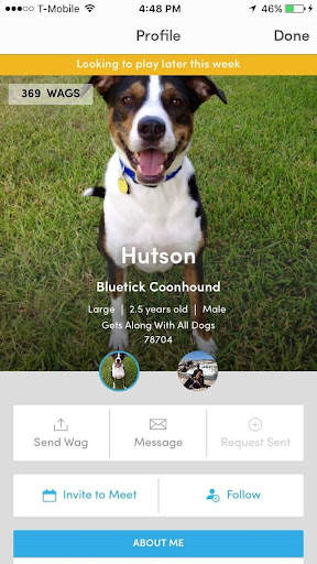 BarkHappy screenshot 2