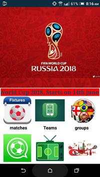 FIFA World cup screenshot 5