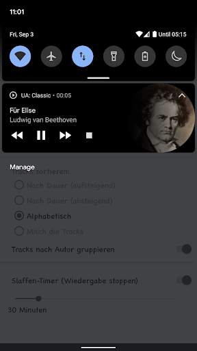Klassische Musik screenshot 4
