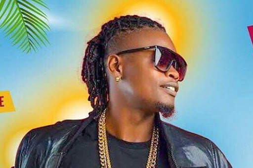 Pallaso Music App screenshot 2